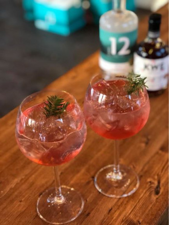 Gin Tonic sapin beaumier et Canneberge