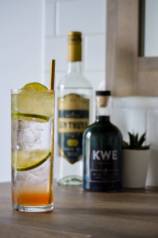 Gin Tonic Bor&eacute;al