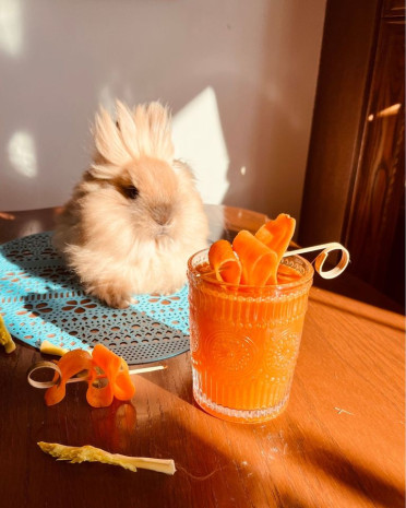 Le Bunny